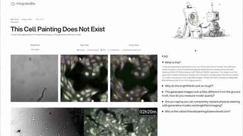 Animated preview of This Cell Painting Does Not Exist